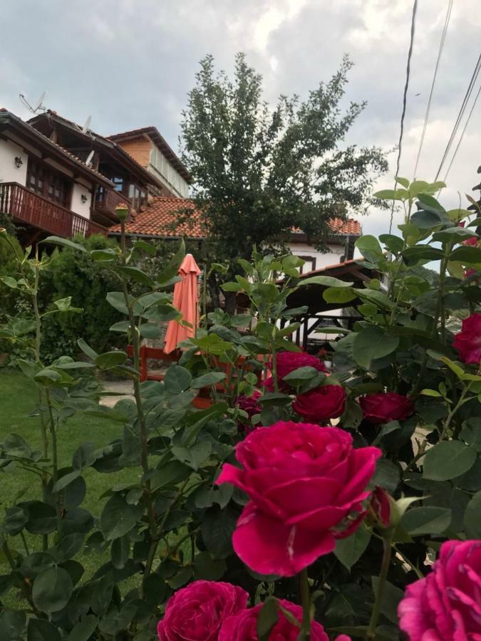 Sharkov Guest House Dolen (Blagoevgrad) Exterior foto